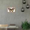 14ct Stamped Cross Stitch - Butterfly (21*15cm)