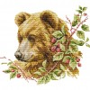14ct Stamped Cross Stitch - Bear(35*32cm)