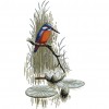 14ct Stamped Cross Stitch - Bird(27*43cm)