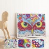 Crystal Rhinestone - Owl Kits