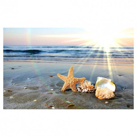 Beachside Shell