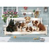 5D DIY Diamond Painting - Full Drill - Dogs And Cat