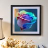 5D DIY Diamond Painting - Full Drill - Colorful Rose
