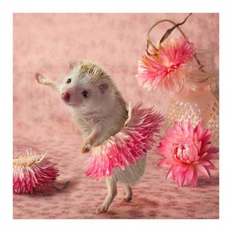 Dancing Hedgehog