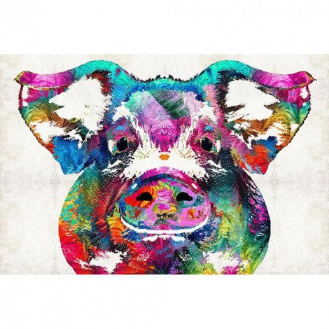 Colorful Pig