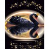 Crown Black Swan
