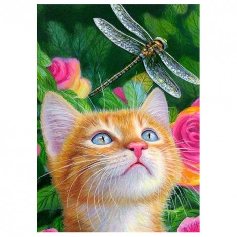 Cat Dragonfly