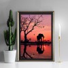 Elephant Sunset