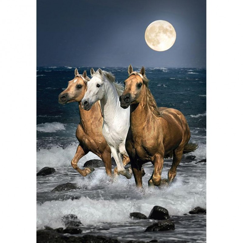 3 Horses