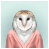 Clothed Owl