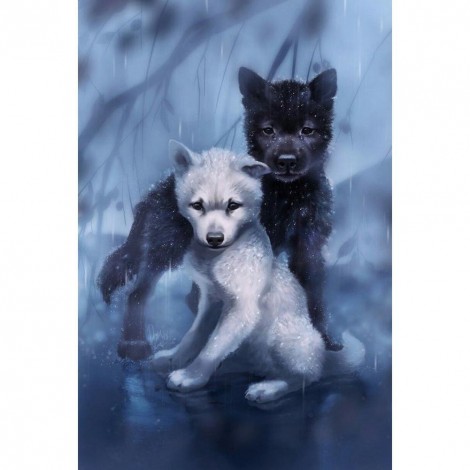 Black & White Wolf
