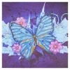Crystal Rhinestone - Butterfly