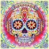 Crystal Rhinestone - Colorful Skull