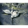 Paint-By-Number Swan Love (40*50cm)