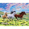 Paint-By-Number Horses (40*50cm)