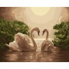 Paint-By-Number Swan (40*50cm)