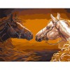 Paint-By-Number Two Horses (40*50cm)