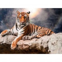 Paint-By-Number Tiger (40...