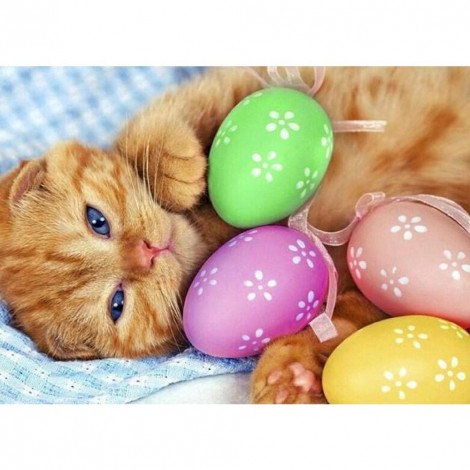 Cat Eggs
